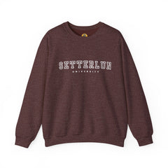 Setterlun Cozy Sweatshirt